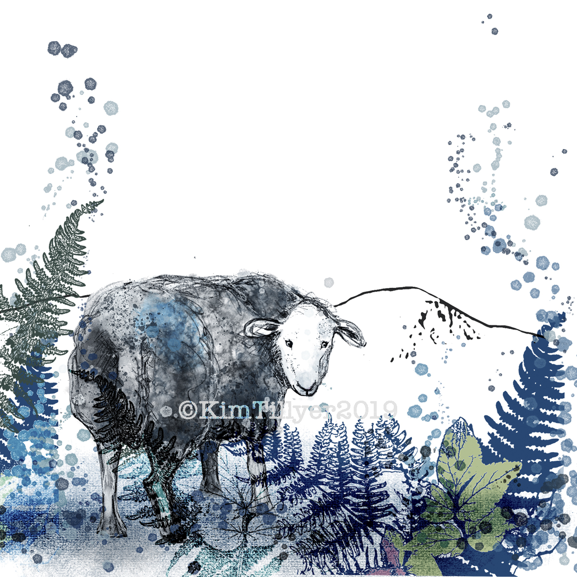 herdwickcard copy.jpg