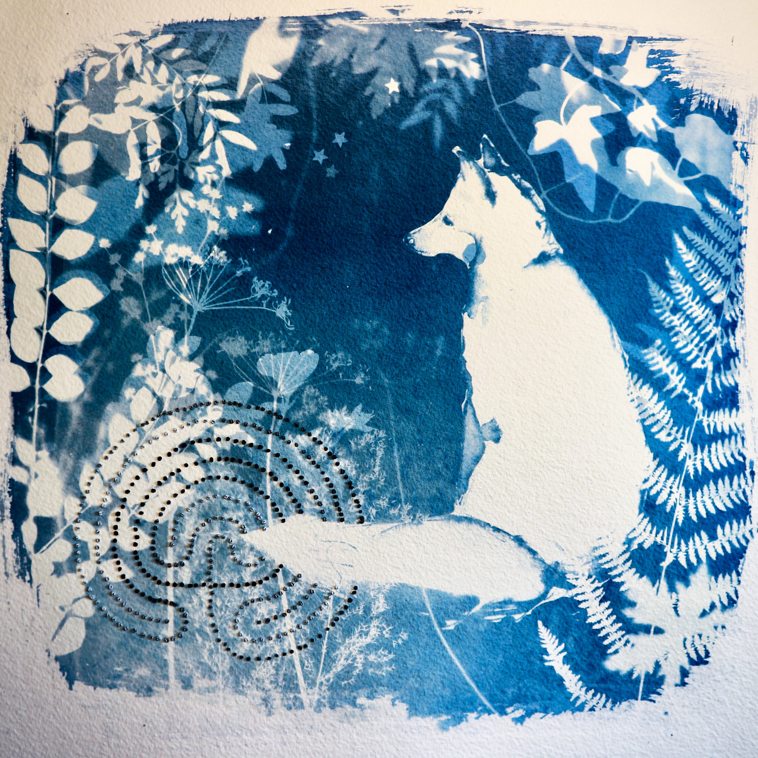 Making cyanotype prints — Kim Tillyer - Witchmountain
