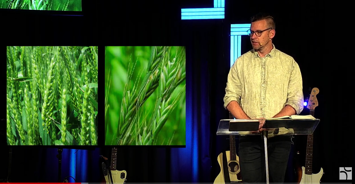 4 | Kingdom Stories (Parables): Our Judgement and God's | Matthew 7:1-5, Matthew 13:24-30, 36-43 episode artwork