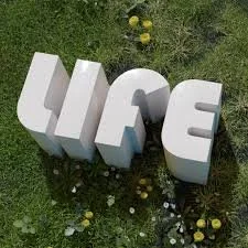 images (2).jpeg