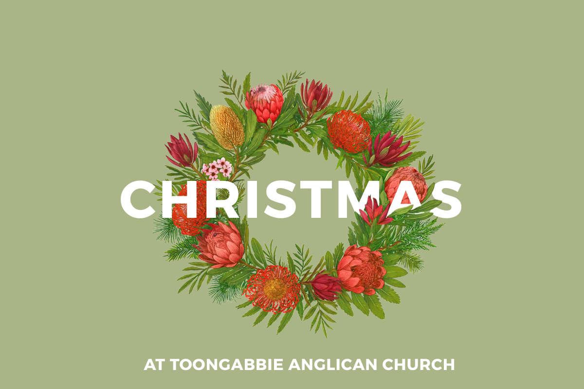 christmas 2025 website.png