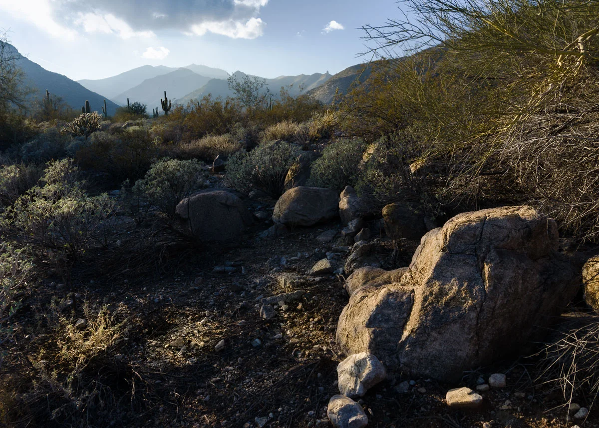 White Tank Mountain Park, Arizona