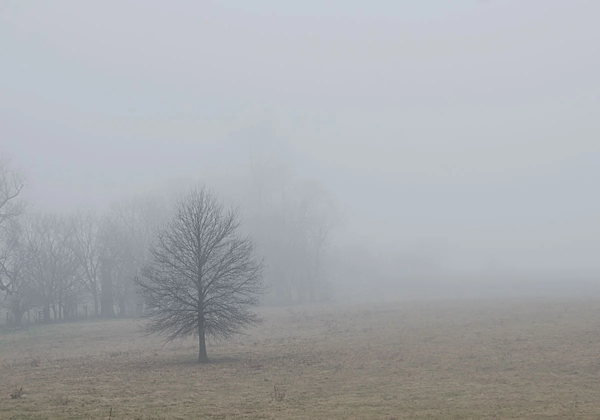 Lexington, Kentucky