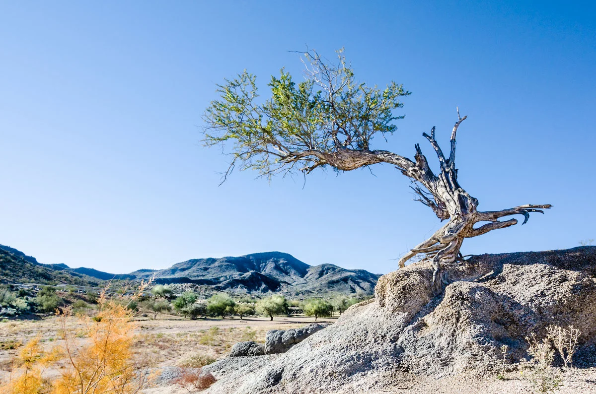 Bartlett Lake, Arizona