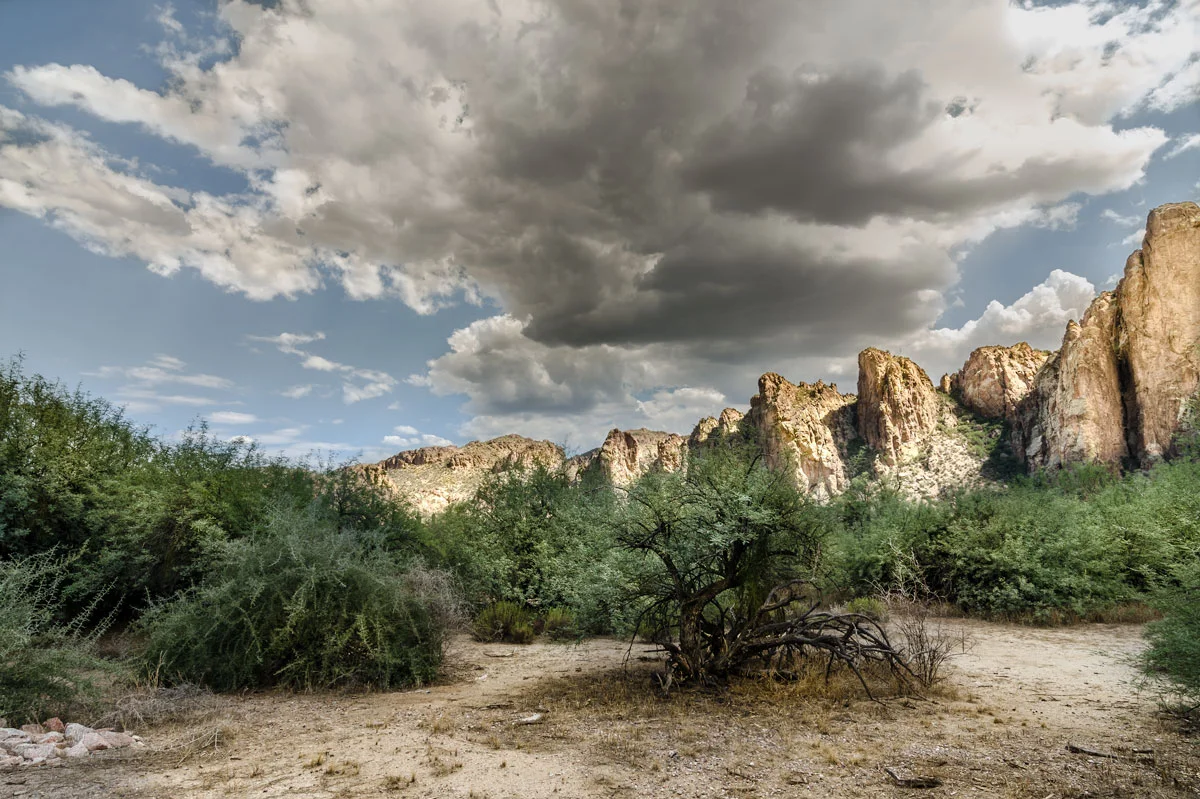 Arizona