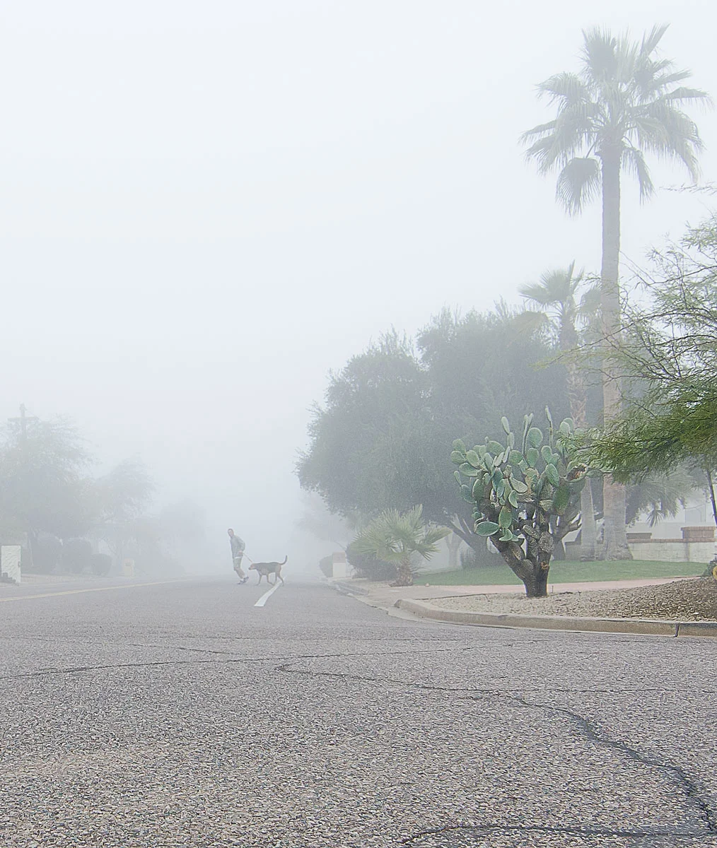 Man with dog on a foggy morning
