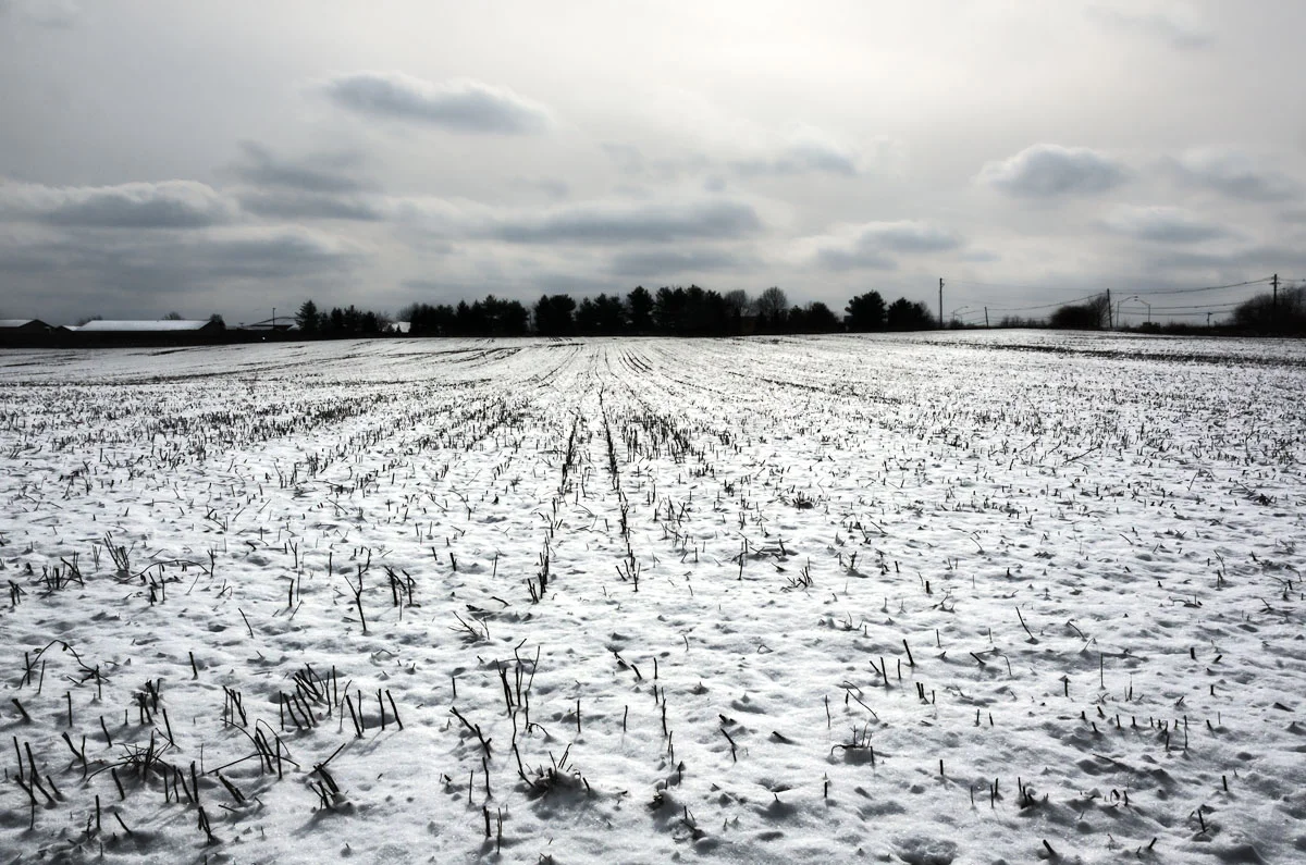 Lexington, Kentucky