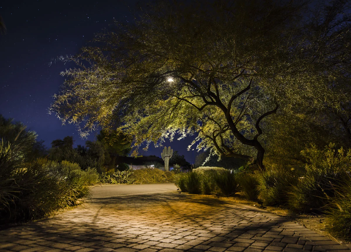 night-shot-on-desert-cove-ave.jpg