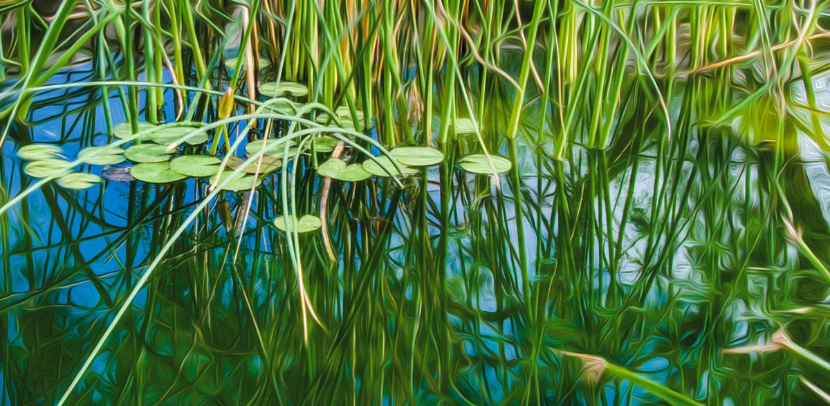 lily-pond-oil-paint-combo.jpg
