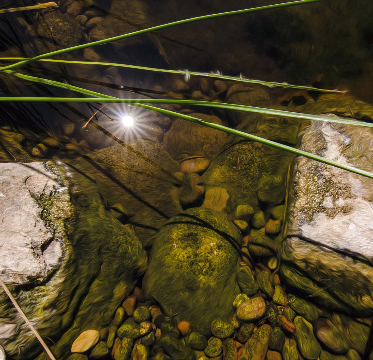 SCC-water-rocks.jpg