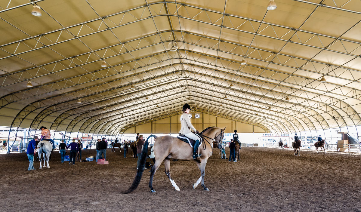 Arabian-horse-show.jpg