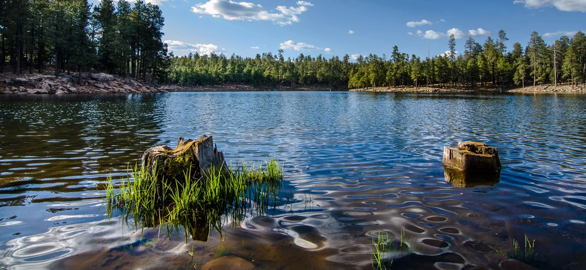 Mogollon Rim, Arizona