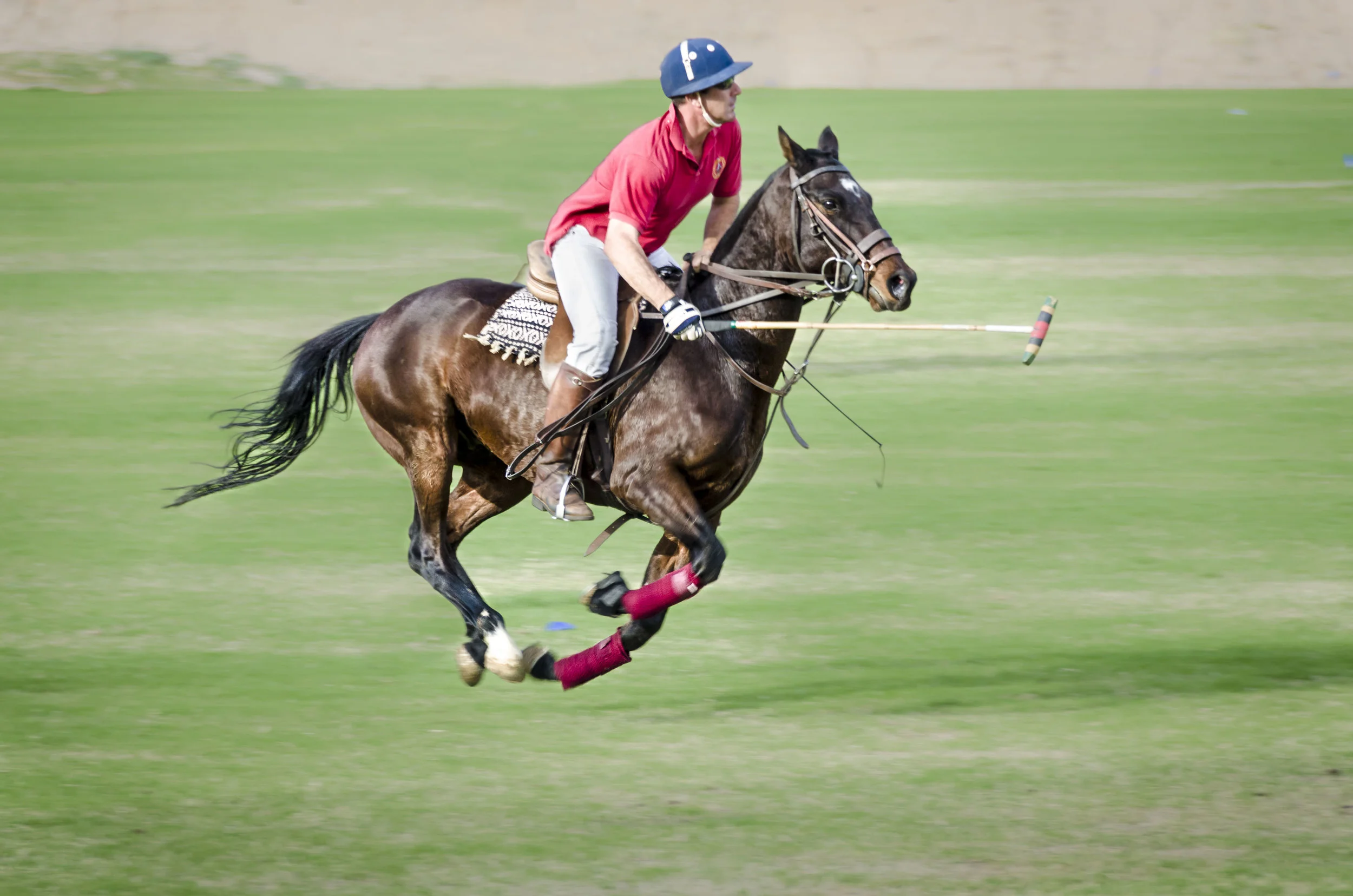 polo.jpg