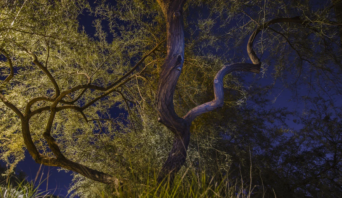 night-shots-on-desert-cove-ave_3.jpg
