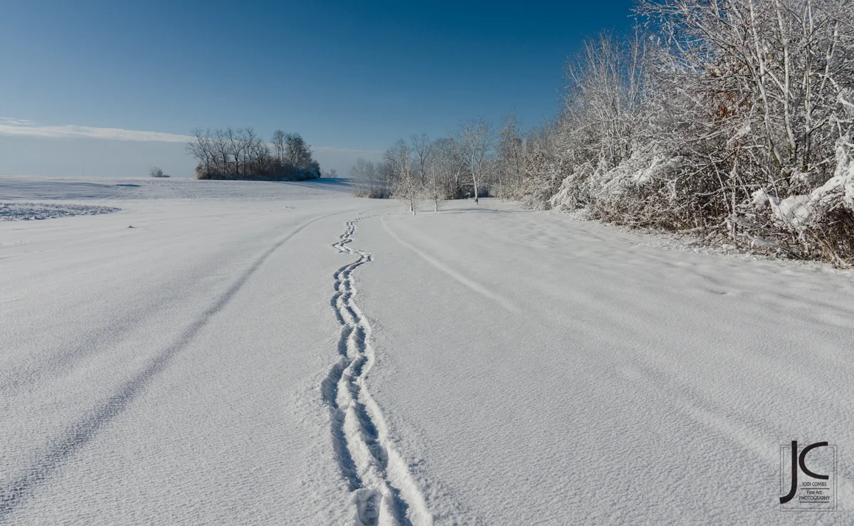 Path