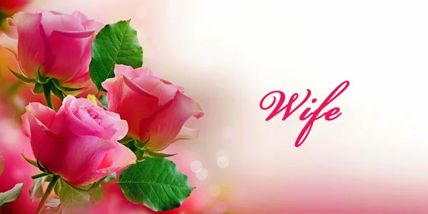 Pink-Roses-Wife-CS-134.jpg
