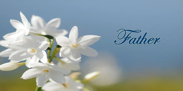 White-Flower-Father-CS-140.jpg