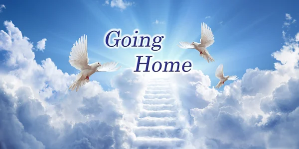 Going-Home-CS-159.jpg