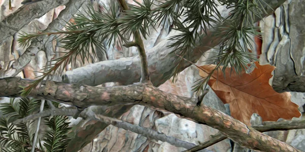 Woodland-Camo-CS-186.jpg