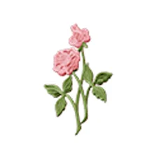 Classic-Rose.jpg
