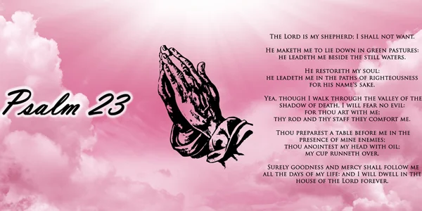 Psalm-23-Praying-Hands-Pink-8-x-4.jpg