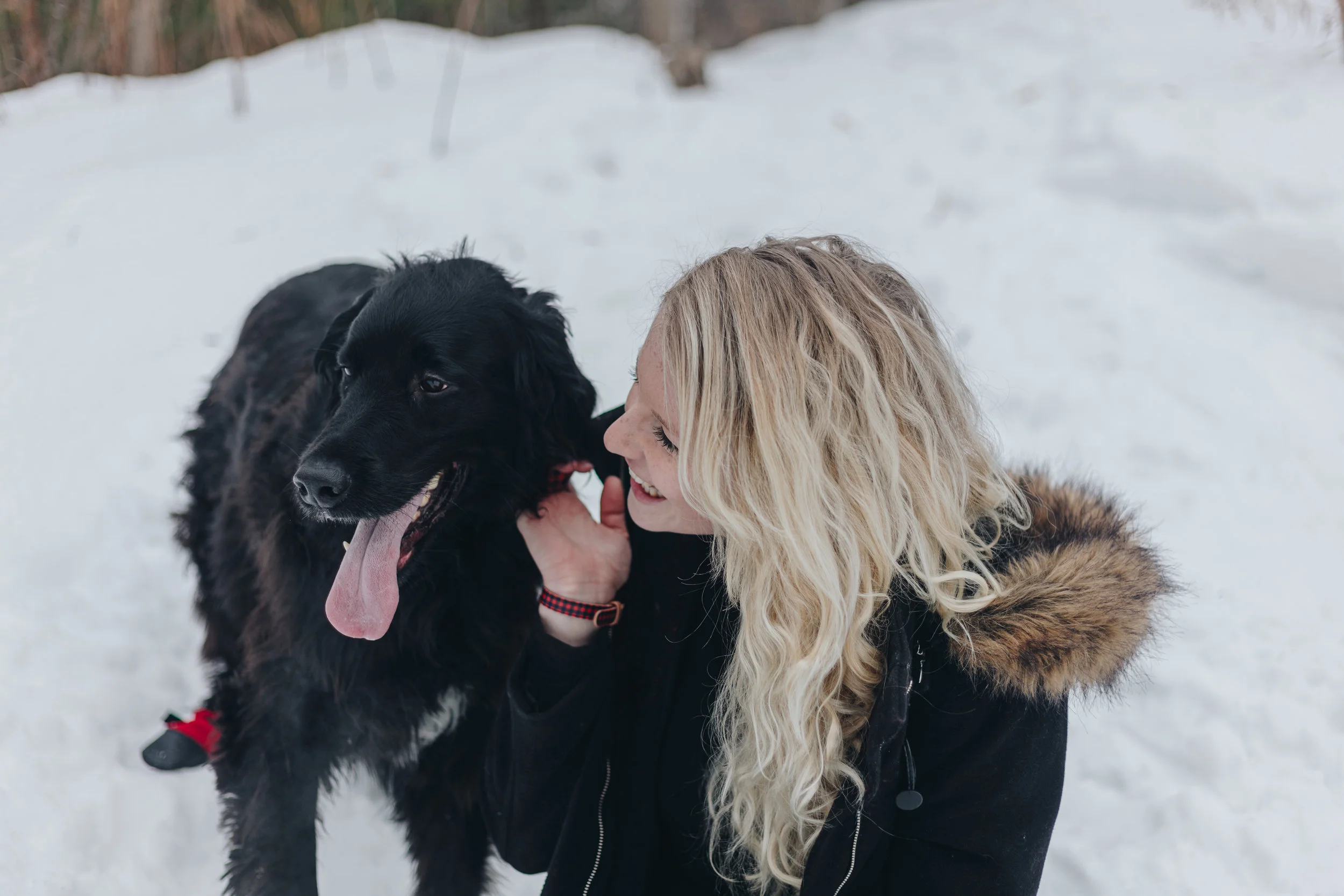 Photo Sessions with your Pets