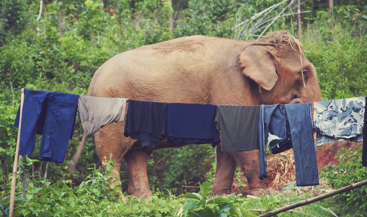 Thailand4.jpg
