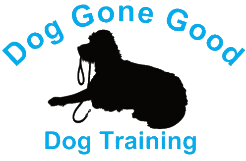 is obedience training good for a dog