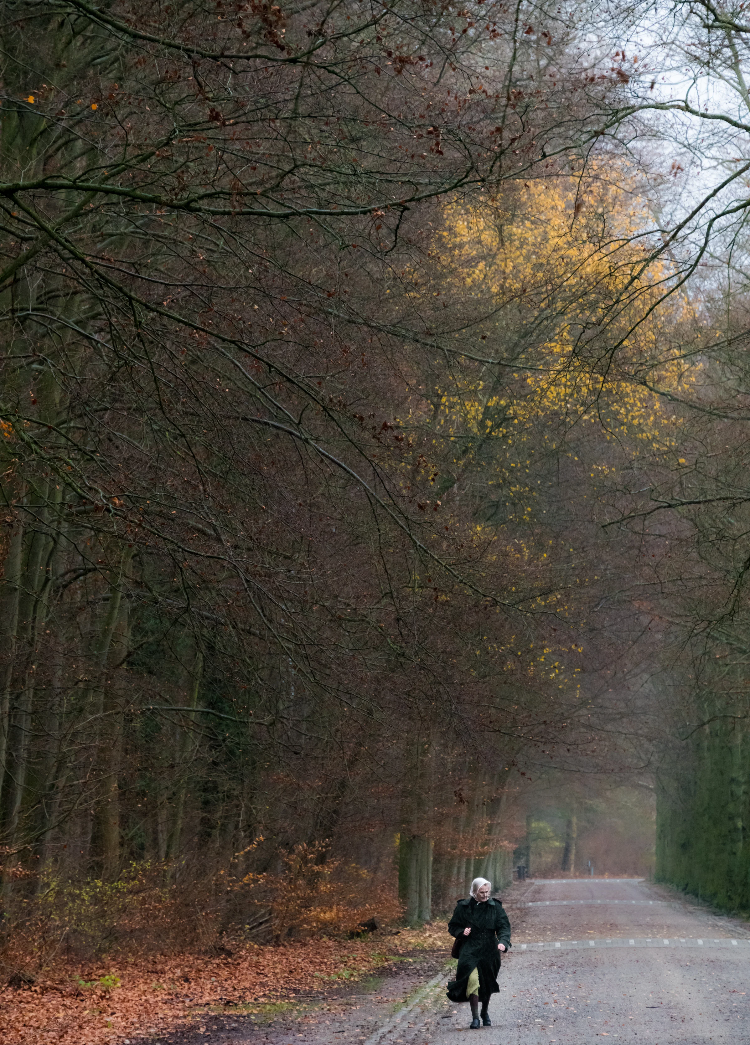 _D850341_December_small-2.jpg