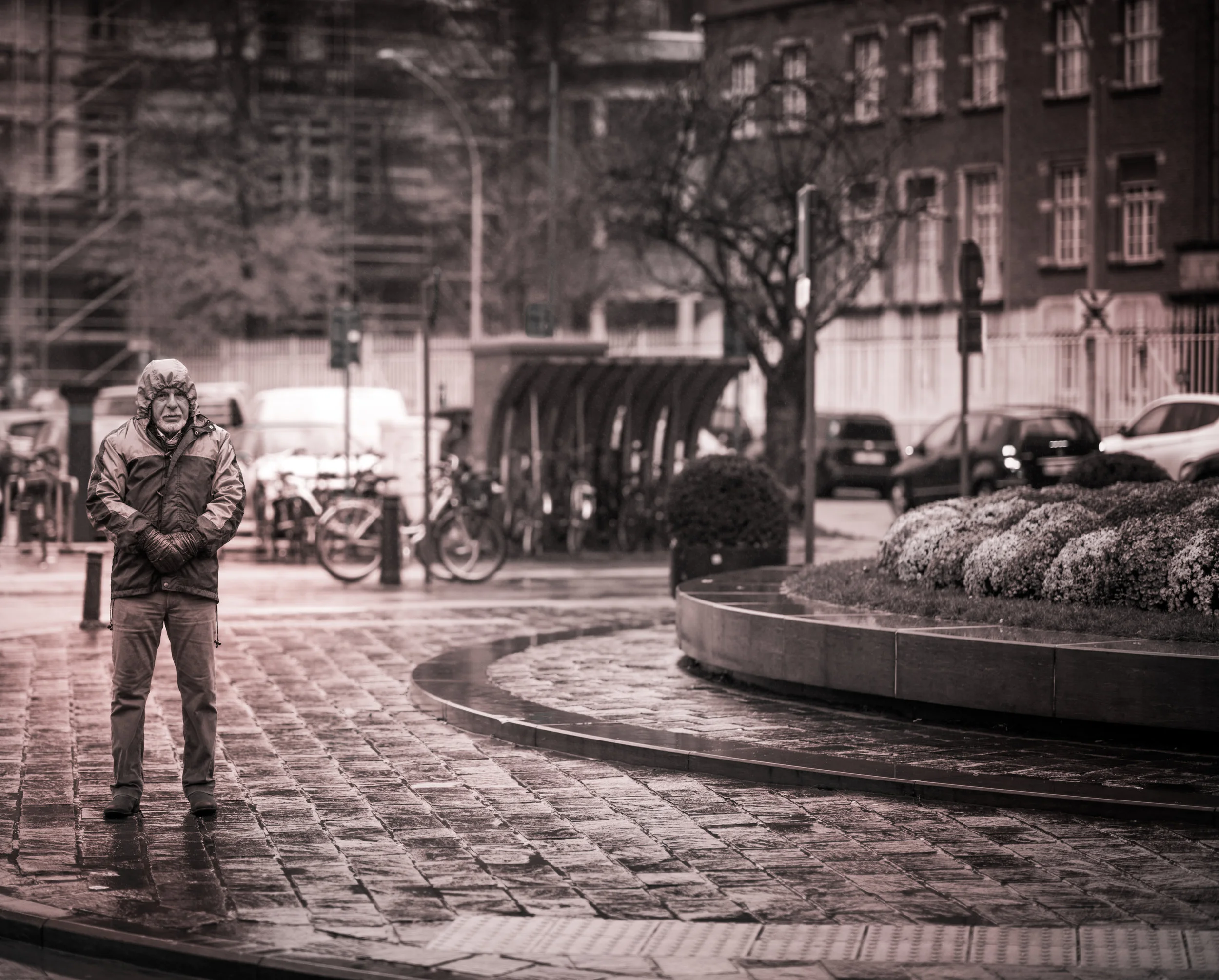 _D850075_December_small.jpg
