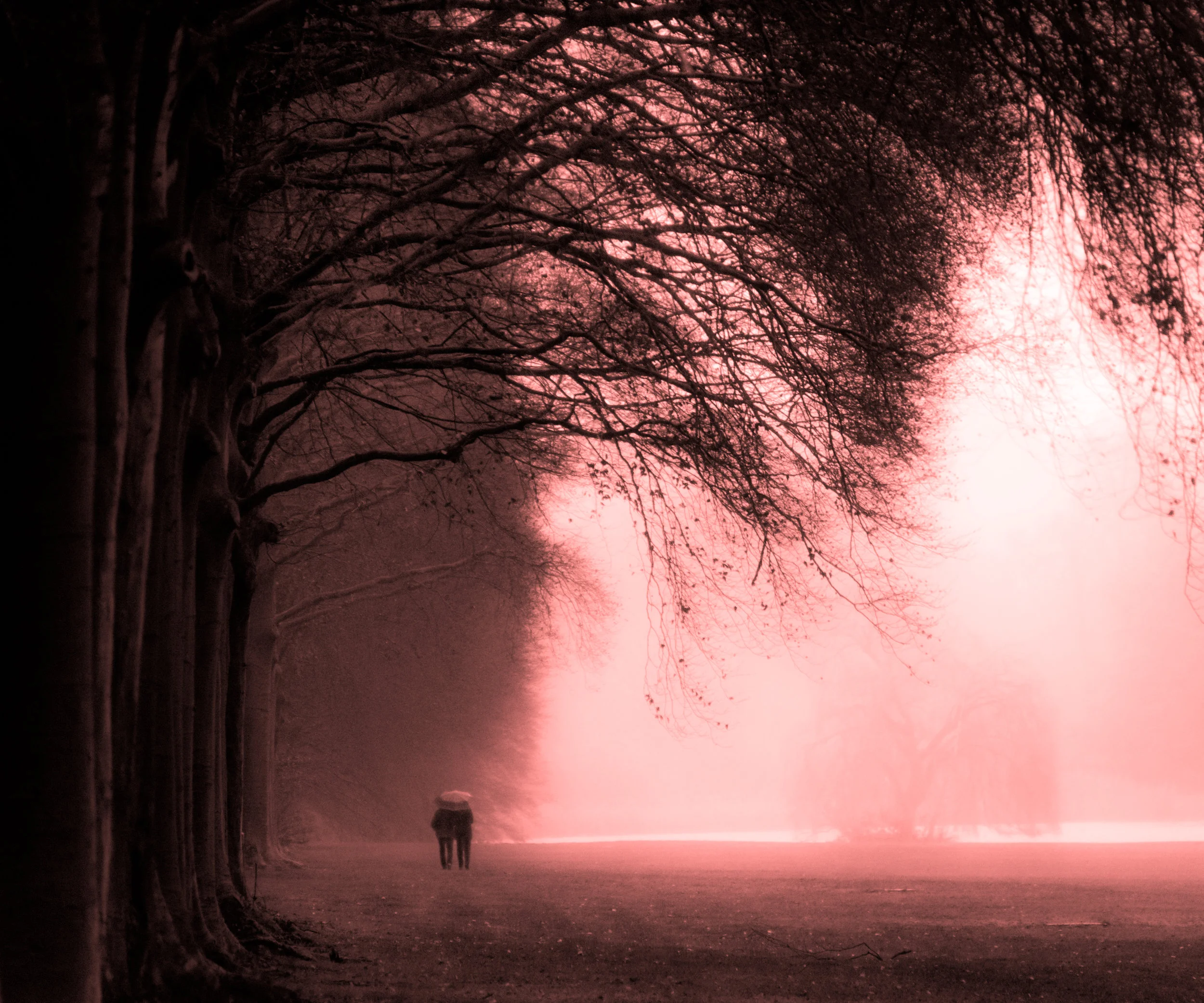 _D850286_December_small.jpg