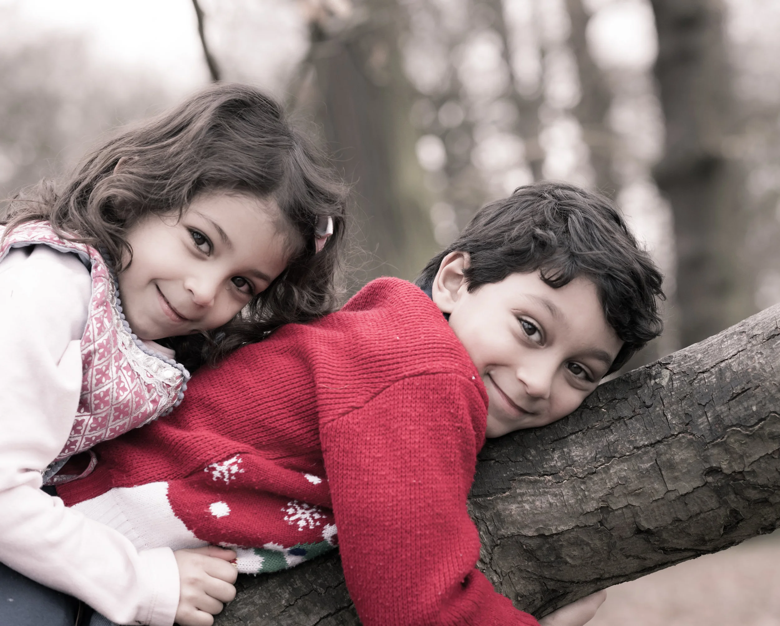 _D850418_December_small.jpg