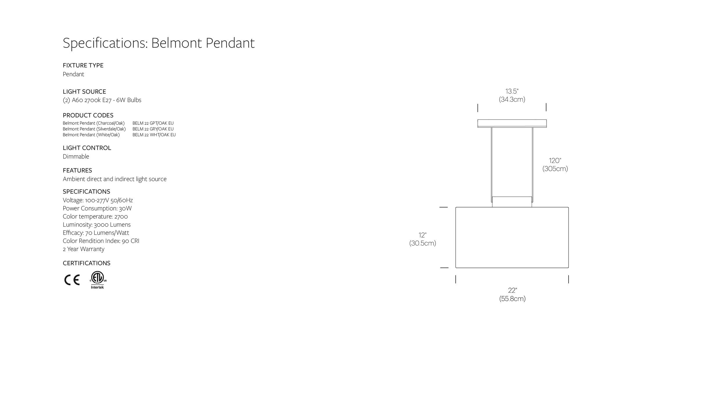 Belmont Pendant - 2 -44-44.jpg