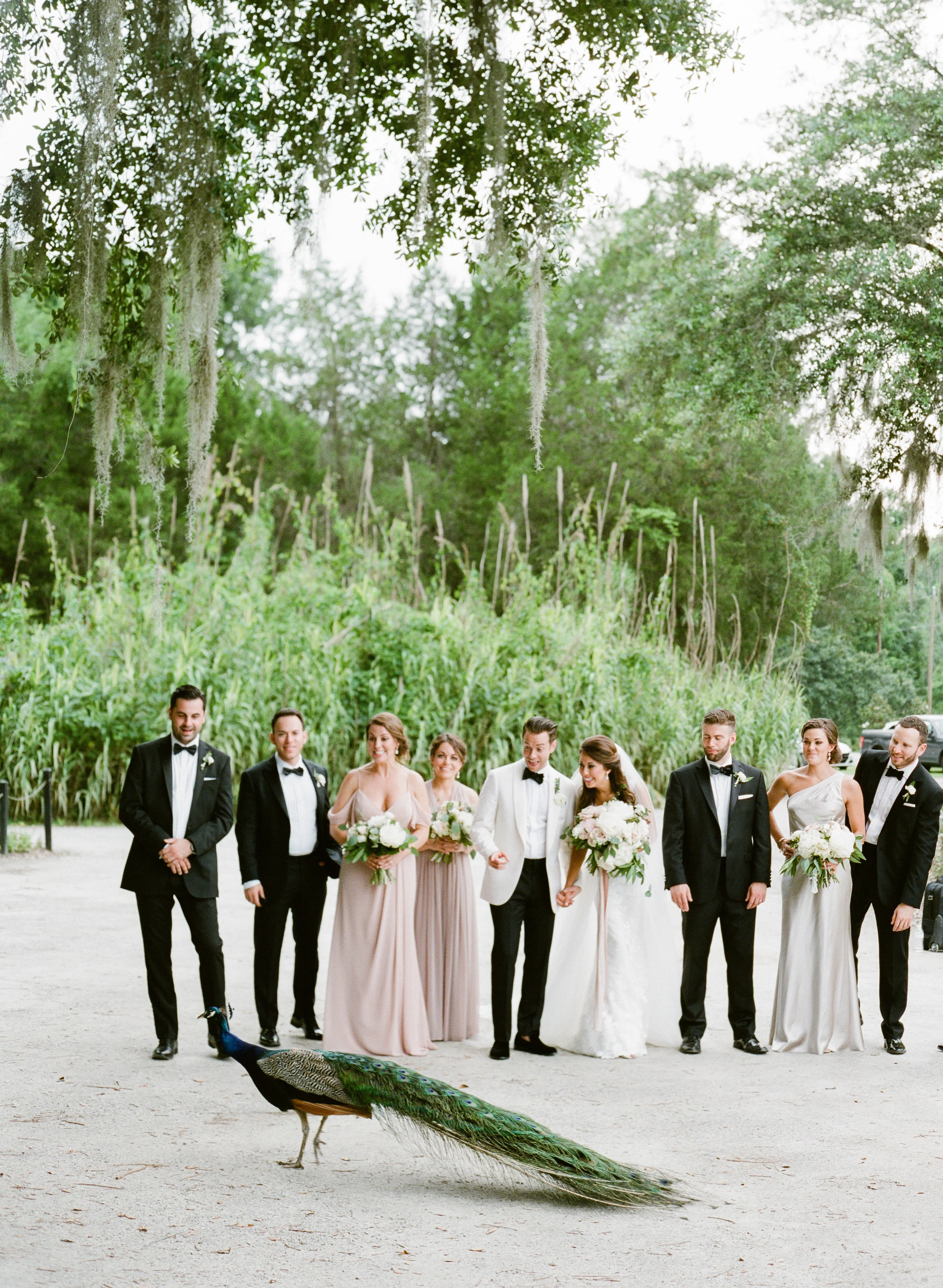 GoldWedding-343.jpg
