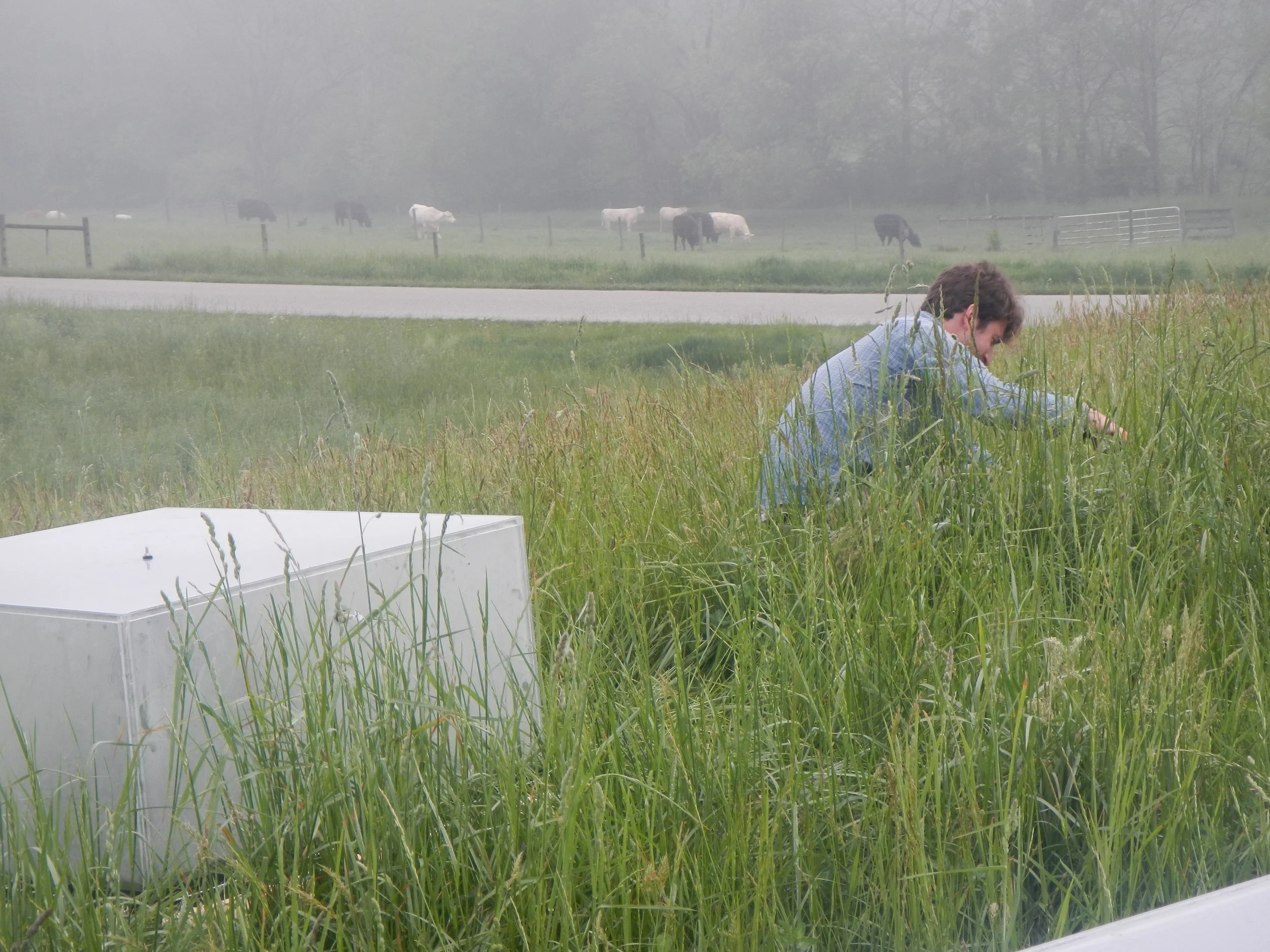 Carl working at the S.C.A.R.E. (Soil Carbon Antibiotic Resistance Experiment) site, where we are tracking the cycling of carbon and nitrogen when soils are exposed to antibiotic free manure or manure from cattle given one of two types of antibiotics. 