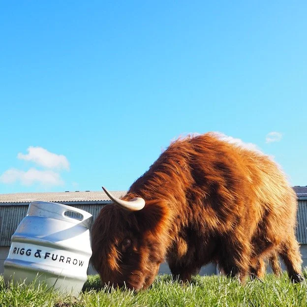 gift card aggie.jpeg