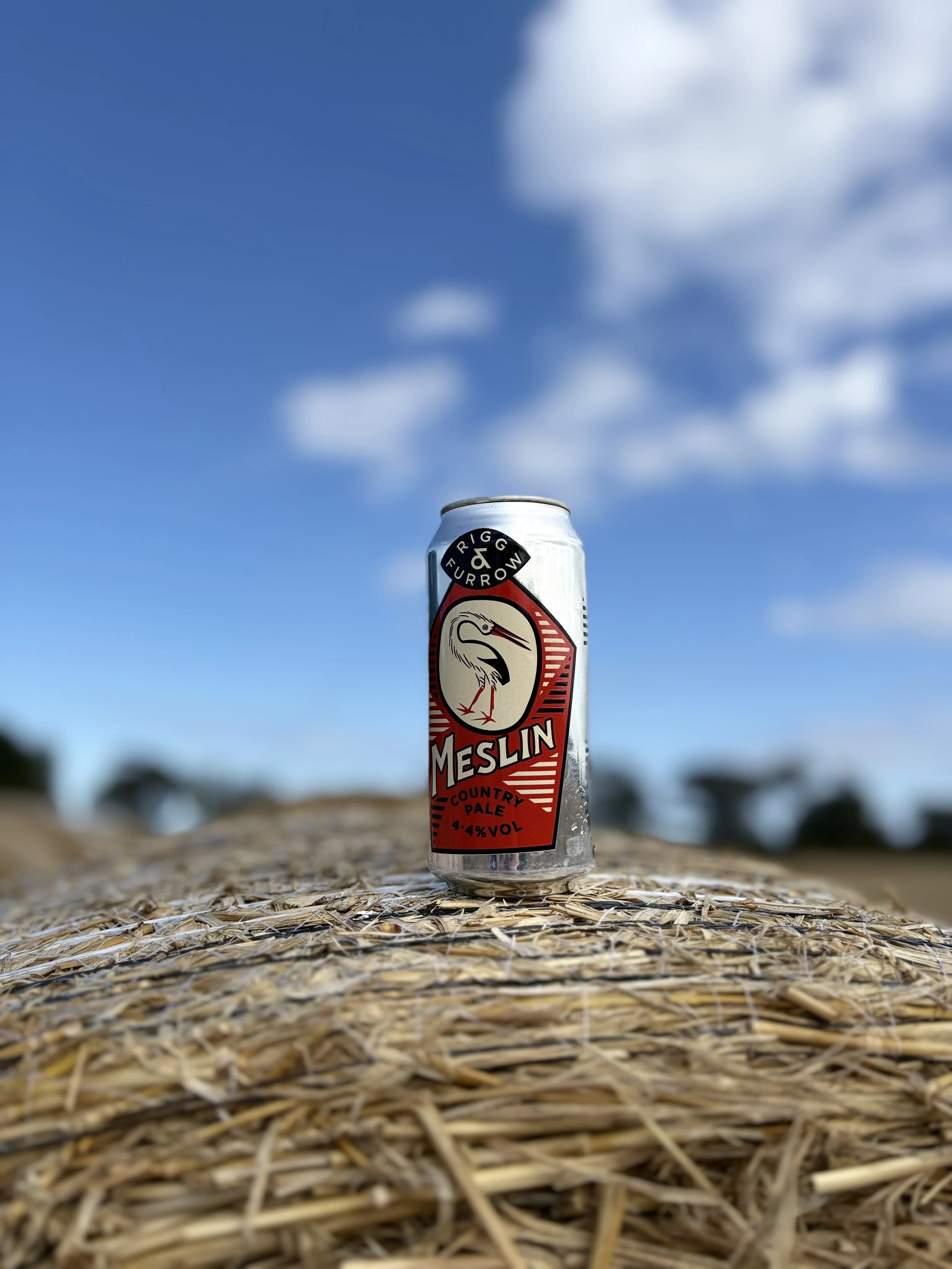 Meslin - Country Pale - 4.4%