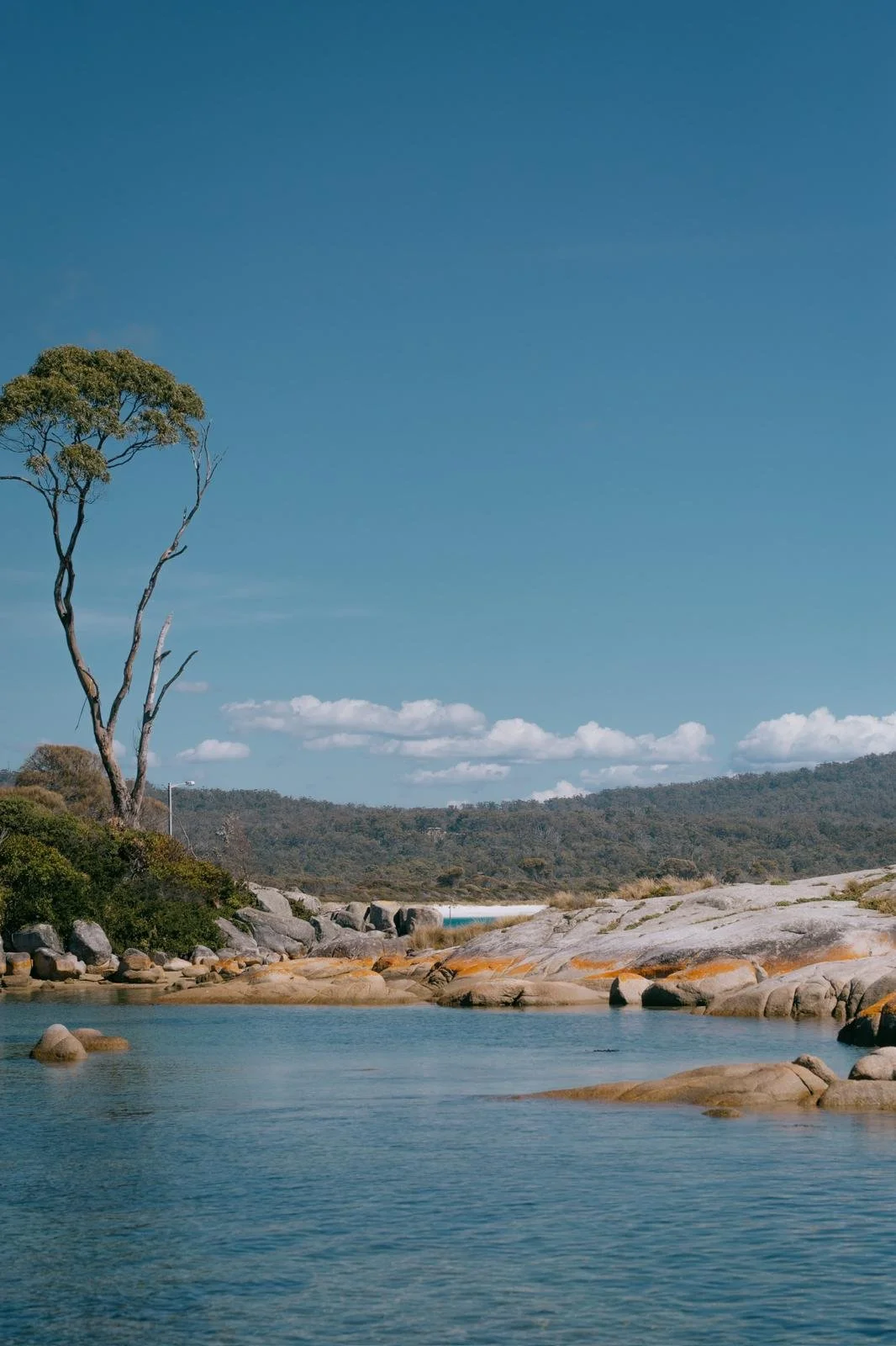 Bay of Fires 4.jpeg