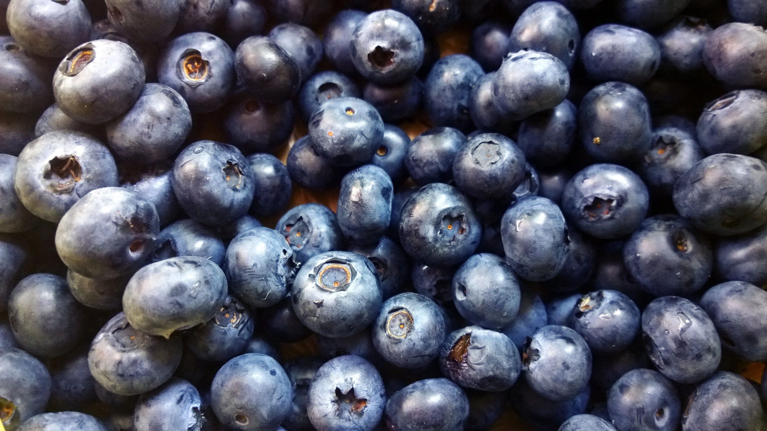 HIPP'S POWER SHAKE RECIPE: