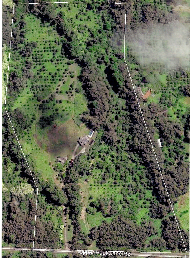 Aerial View of the Farm 3.jpeg