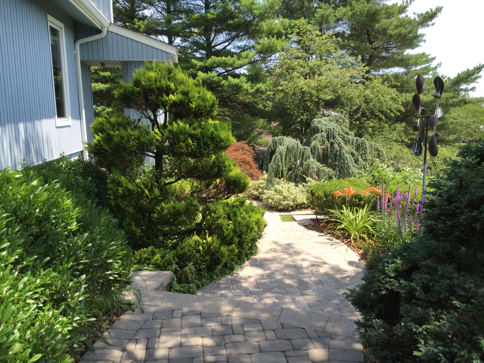 Landscape design with plantings in Long Island, NY​​​​​​​