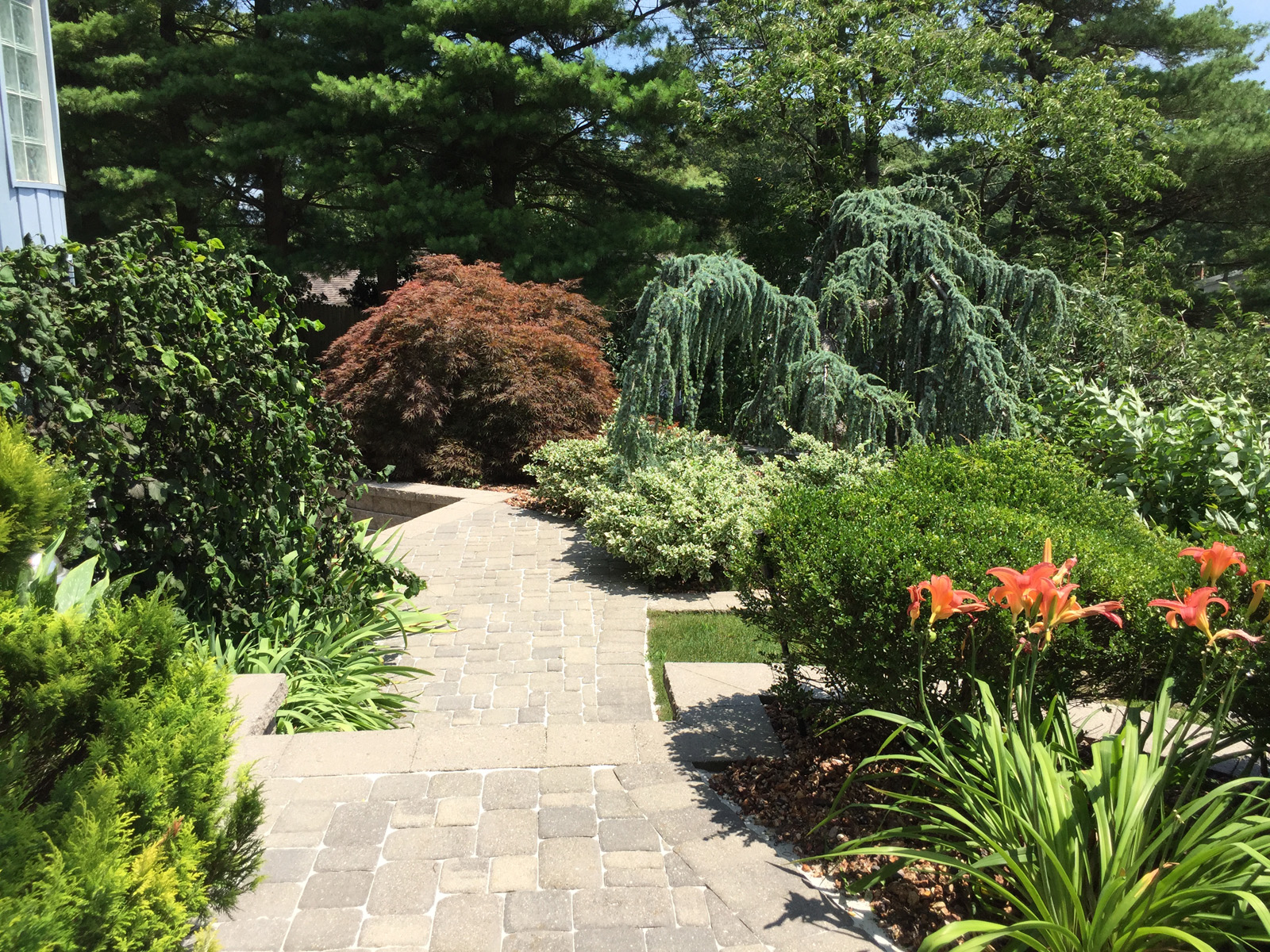 Landscape design with plantings in Long Island, NY​​​​​​​