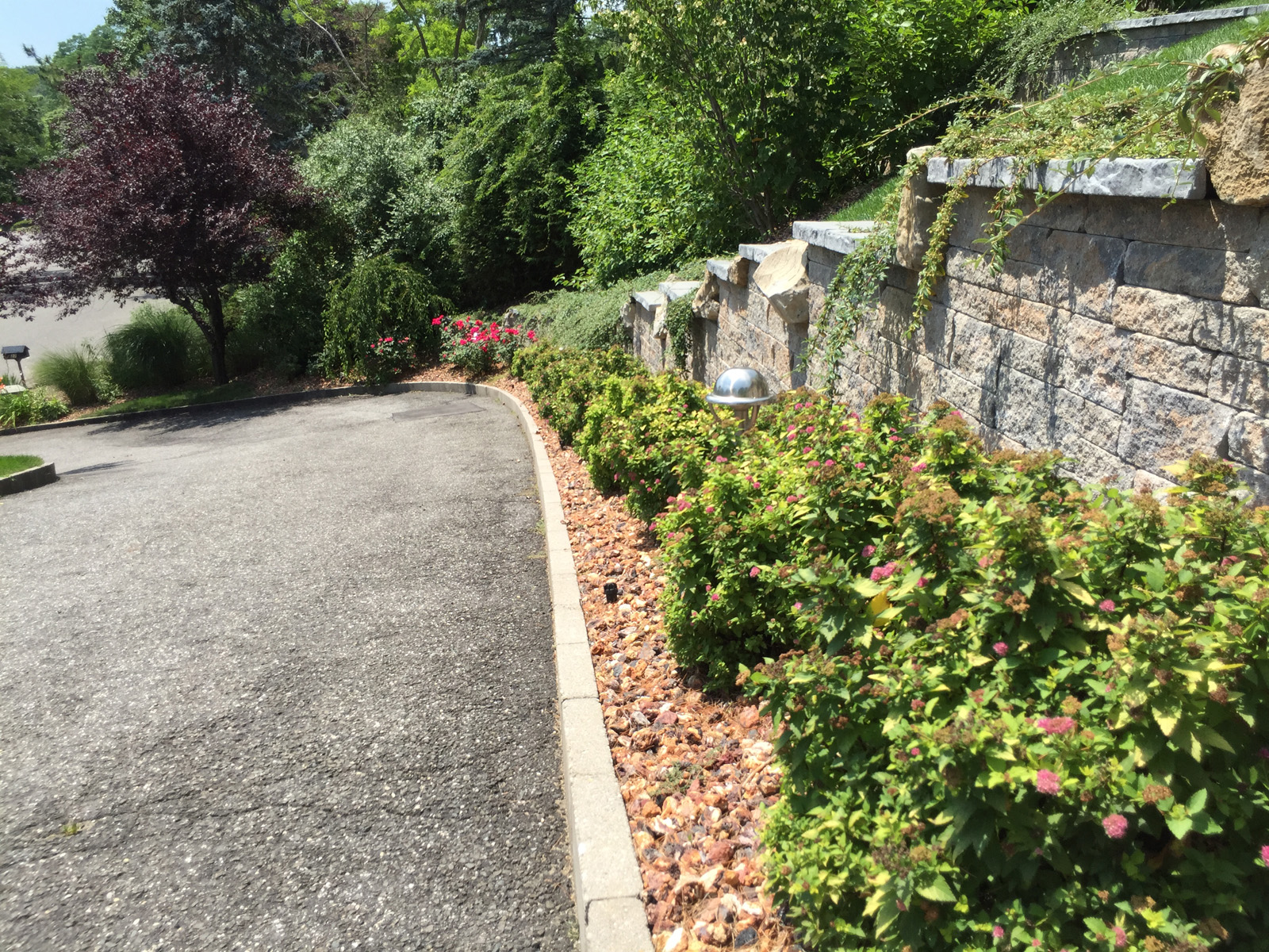 Landscape design with driveway in Long Island, NY​​​​​​​