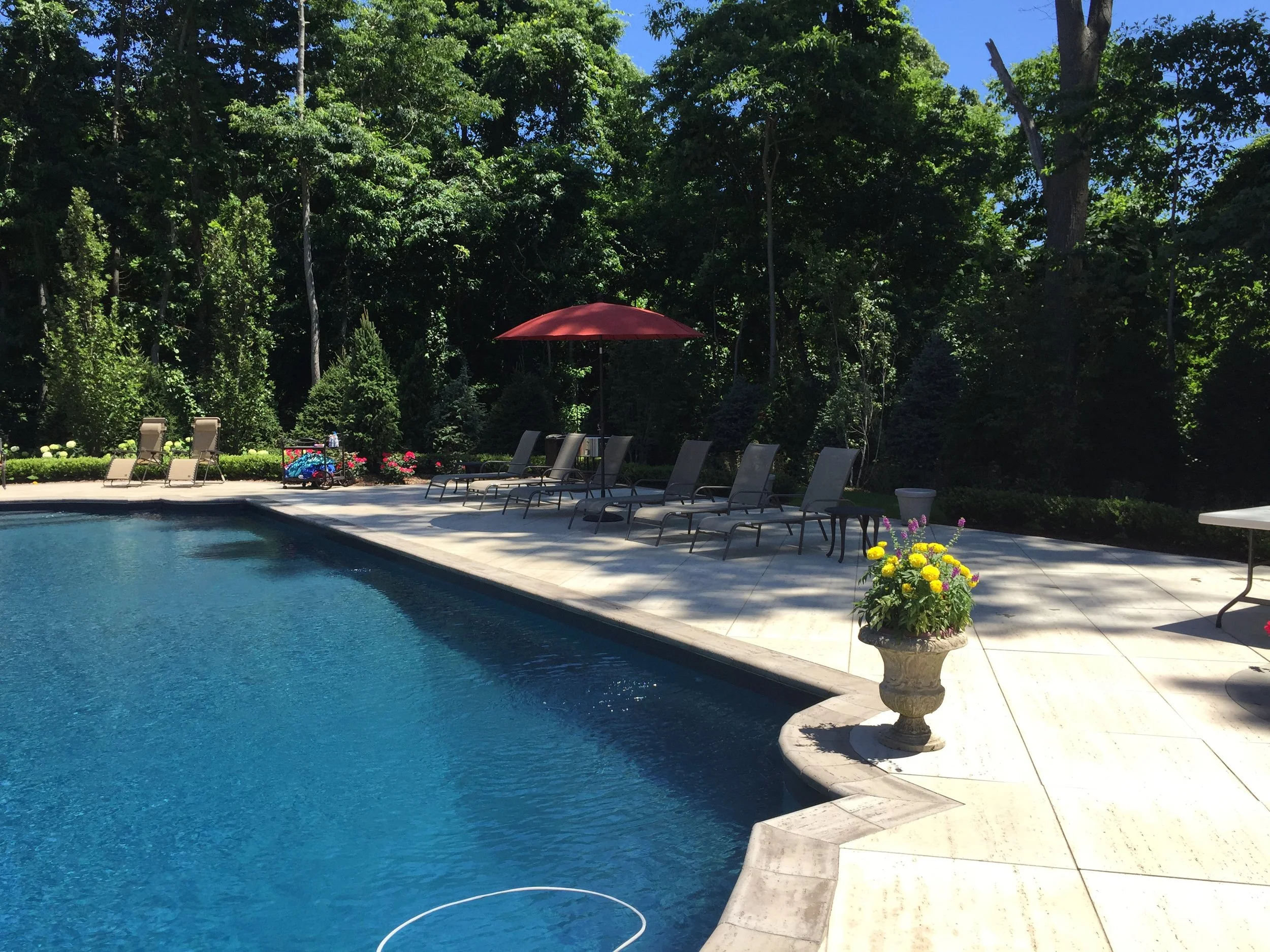 Landscape design with pool patio in Long Island, NY​​​​​​​