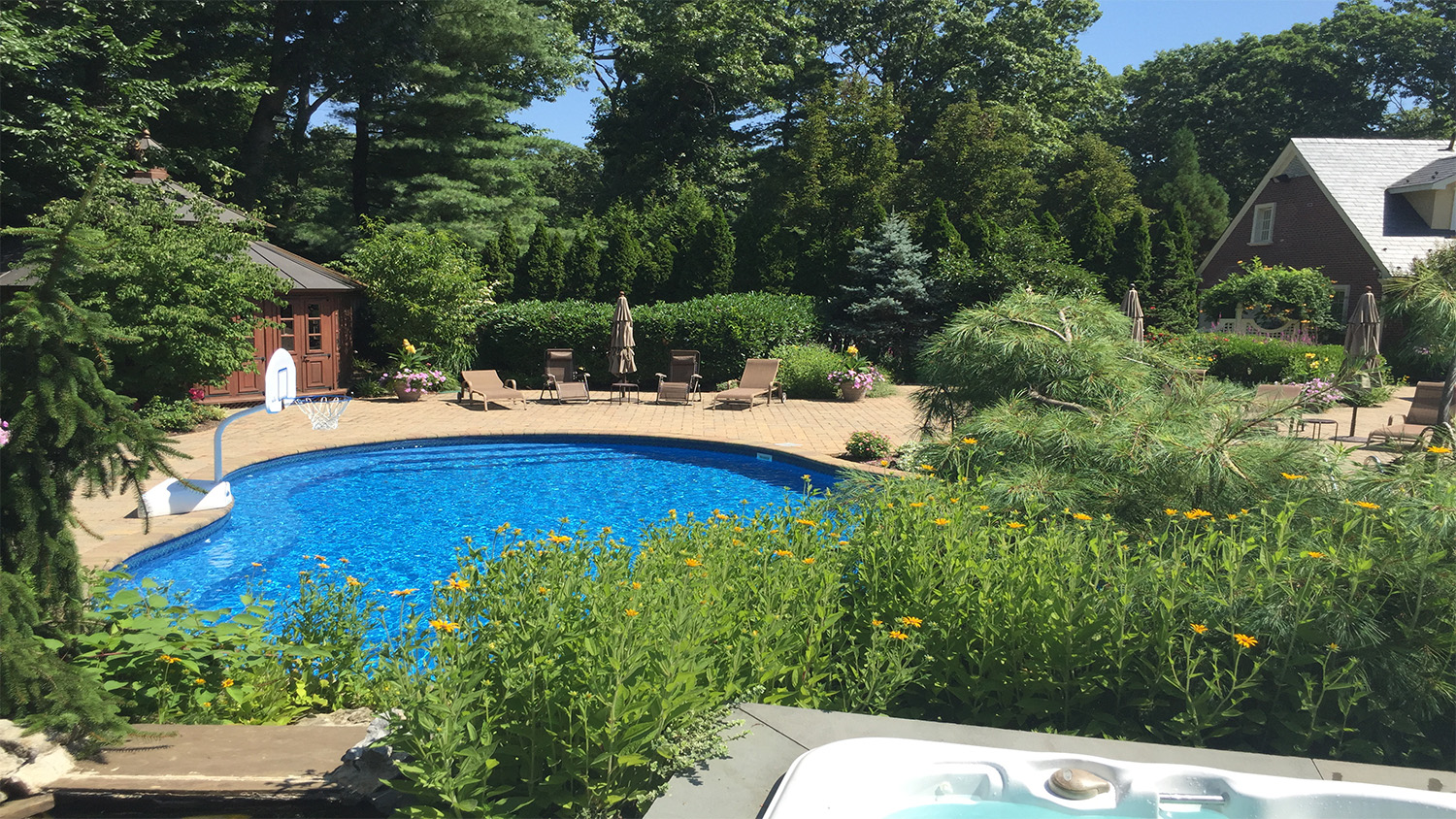 Professional landscape design company with pool area in Long Island, NY