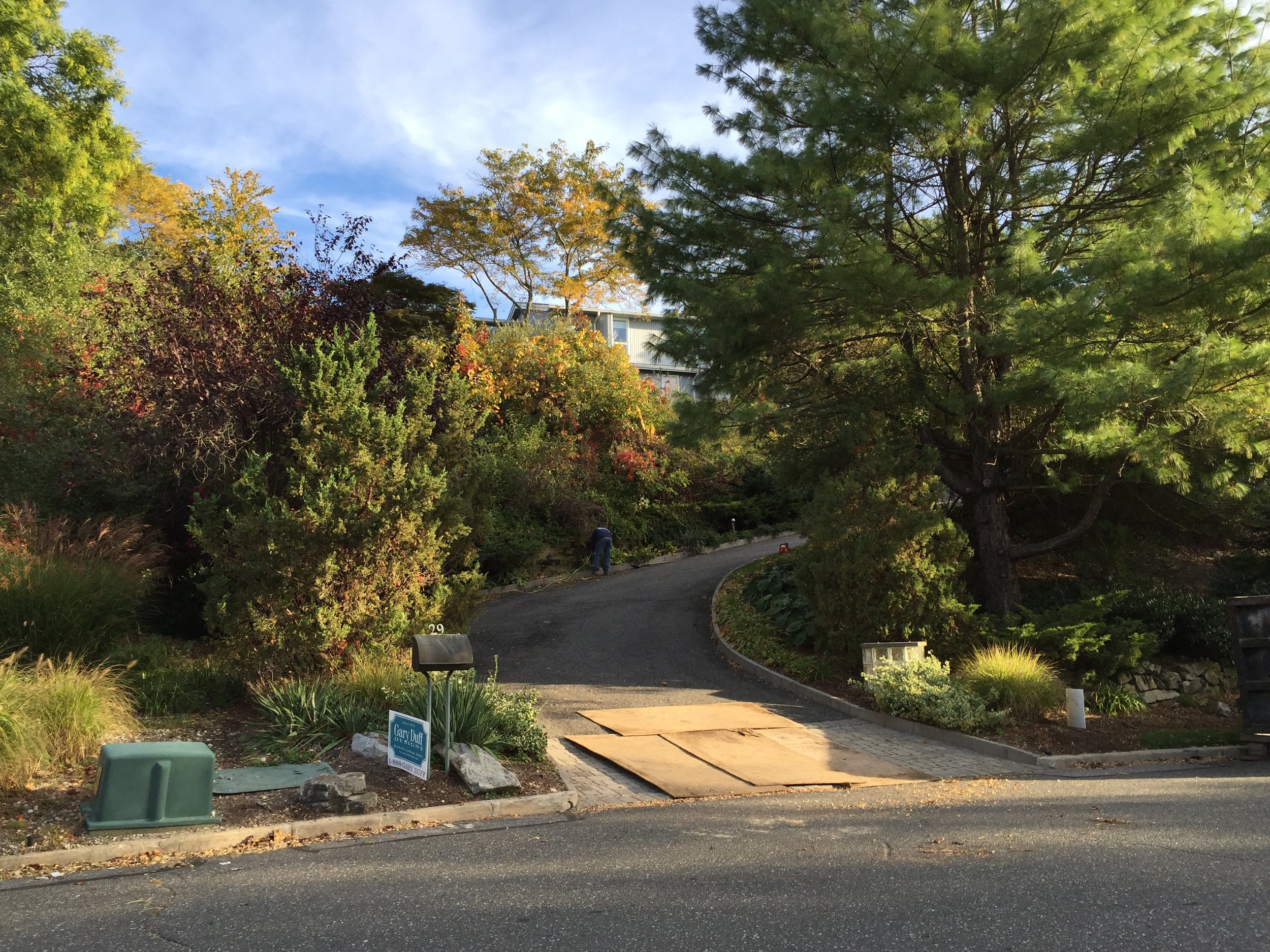 Landscape design with paved driveway in Long Island, NY​​​​​​​