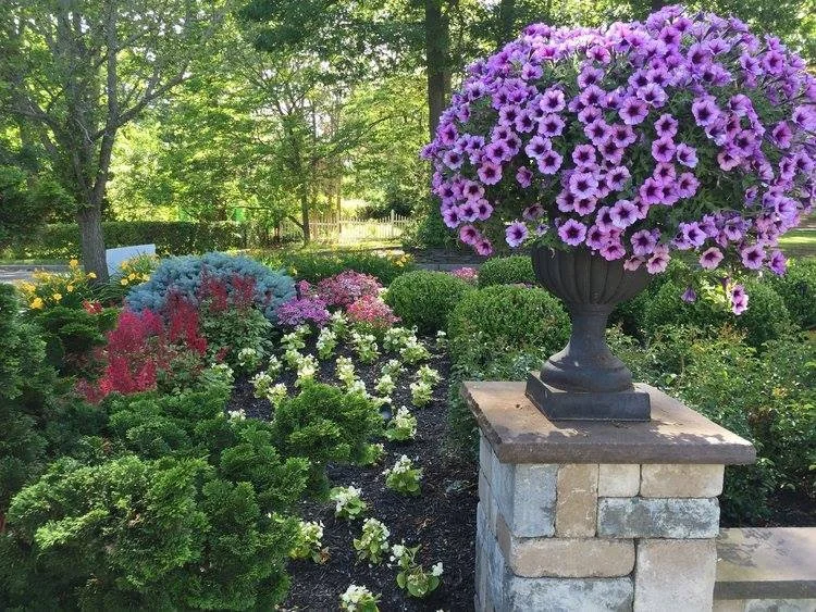 How to Complement Expert Masonry with Beautiful, Colorful Plantings in the Deer Park, NY, Area