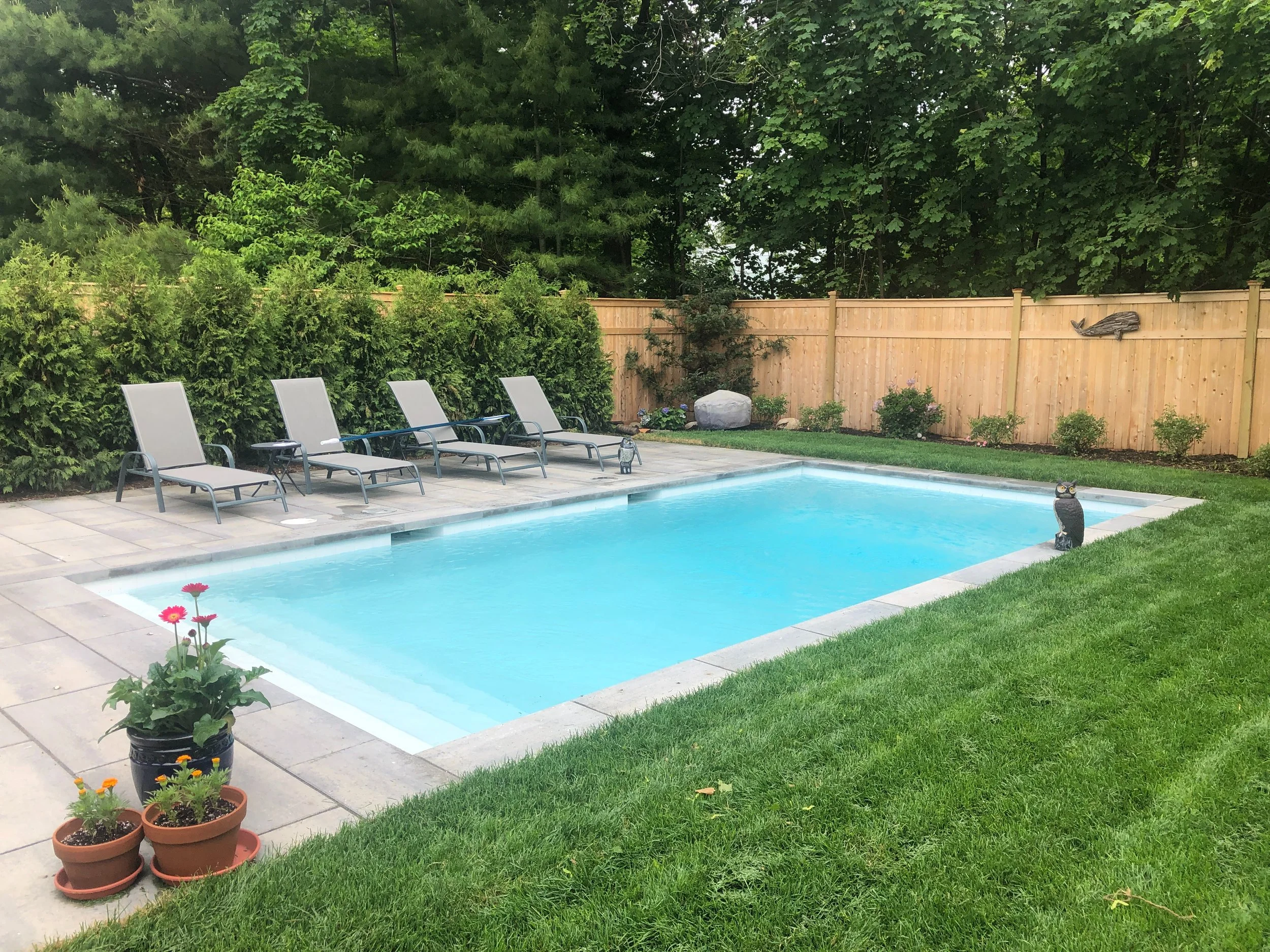 The Ultimate Swimming Pool Planning Guide for Stony Brook and Long Island, NY Residents