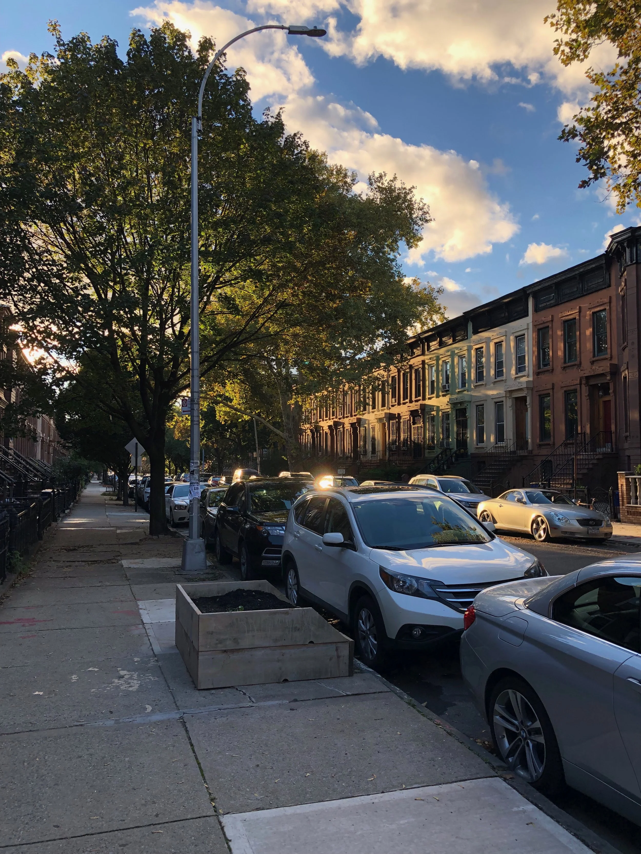 Beautiful Bed Stuy.