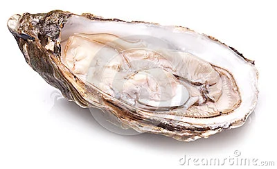 raw-oyster-white-background-52279561.jpg